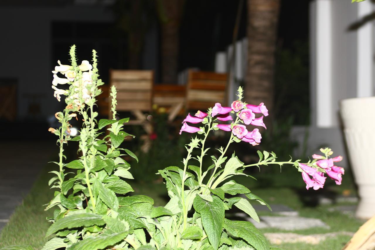 نها ترانج Ocean View Hotel المظهر الخارجي الصورة